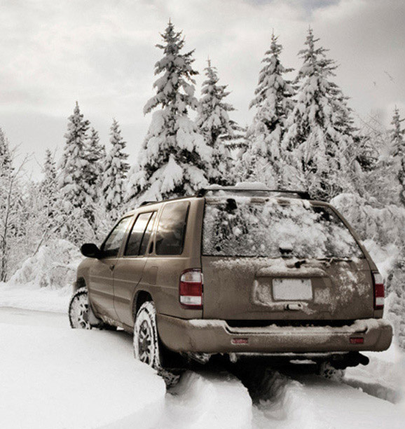 Cold Pour Comparison - 低温流動性